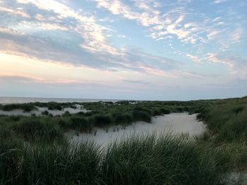 Scenic view of beach against sky during sunset