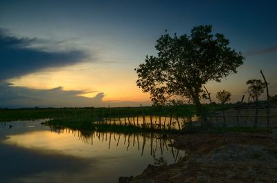 Silhouette tree by lake against sky during sunset