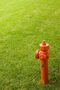 Red fire hydrant on field