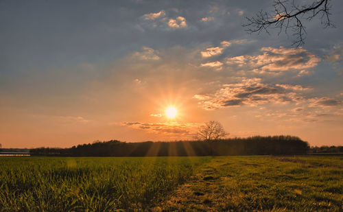 Scenic view of field against sky during sunset