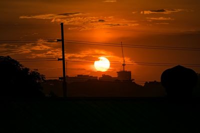 Silhouette plants against orange sky during sunset