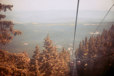 Panoramic view of trees and mountains against sky