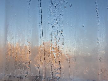 Full frame shot of wet frozen glass