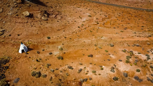 Rear view of people walking on arid landscape