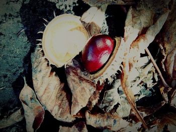 High angle view of building