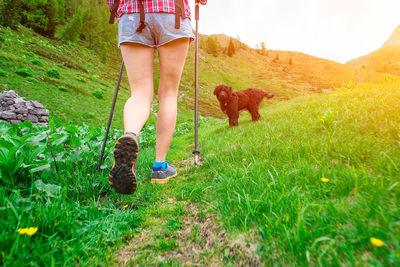 Low section of person with dog on field