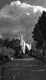 Road by trees against sky in city