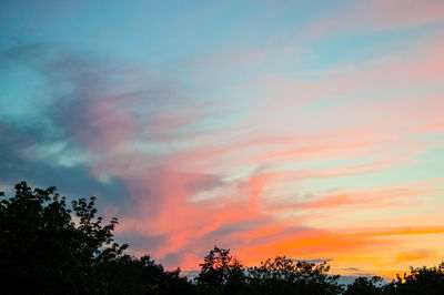 Low angle view of silhouette trees against sky