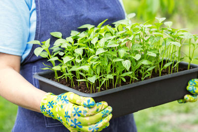 Midsection of woman holding potted plant