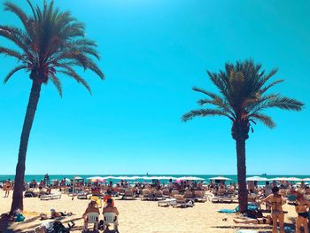 People by palm trees on beach against sky