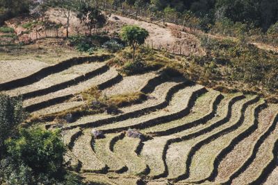 High angle view of agricultural field against sky