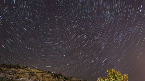 Low angle view of star field against sky at night