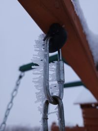 snow