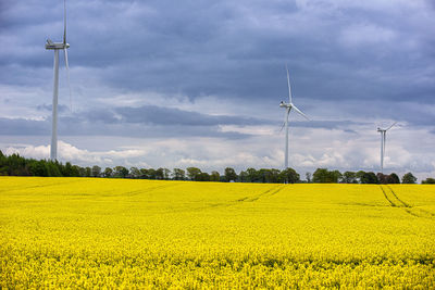 Scenic view of oilseed rape field against sky