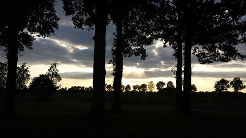 Silhouette trees against sky during sunset