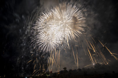 Low angle view of fireworks against sky at night