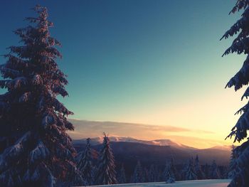 Scenic view of landscape against clear sky during winter