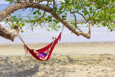 Young woman relaxing in hammock on beach  barefoot