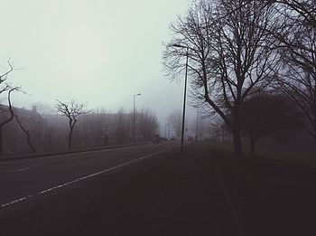 Bare trees on road in foggy weather
