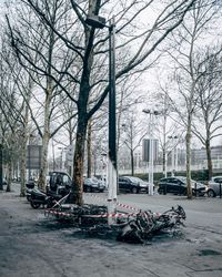 Bare trees by street in city during winter