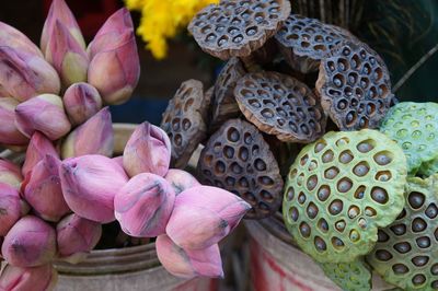 Close-up of flowers for sale