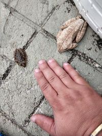 Close-up of hand holding bread