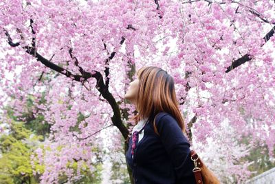 Low angle view of woman looking at pink flowering tree at park