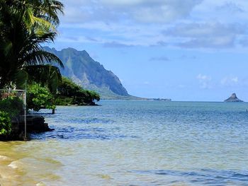 Scenic view of sea against sky