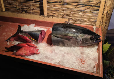 Fish for sale in market