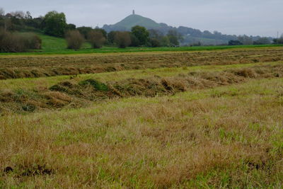 Scenic view of field against sky