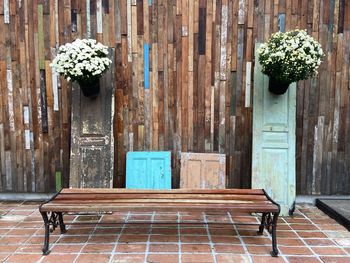 Potted plant on wooden door of building