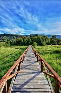 Footbridge leading towards trees against blue sky