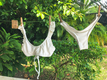 Close-up of white bikini hanging on drying line