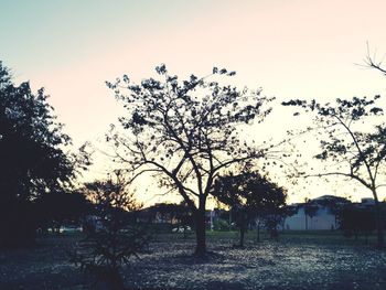 Silhouette trees on field against sky during sunset