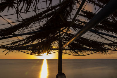 Silhouette tree by sea against sky at sunset