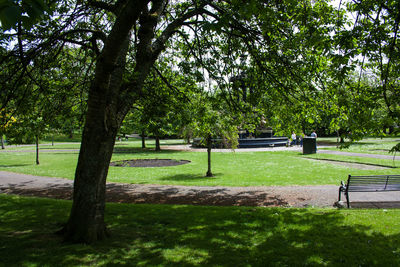 Trees in park