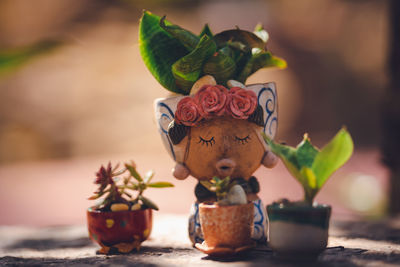 Close-up of potted plant on table