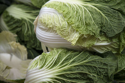 Full frame shot of fresh napa cabbages