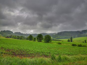 Scenic view of field against sky