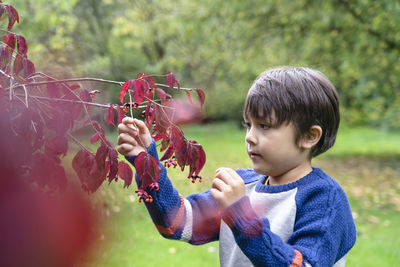 Close-up of cute boy touching plants