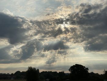 Low angle view of silhouette trees against sky