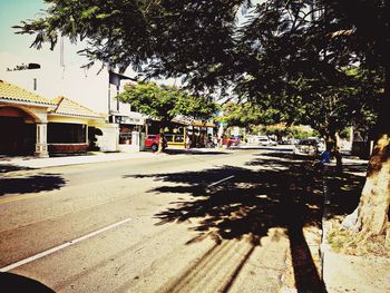 Road by trees in city