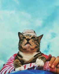 Low angle view portrait of cat against sky