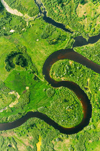 Aerial view of river flowing through forest