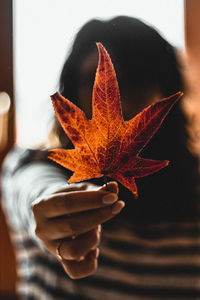 Close-up of hand holding maple leaf during autumn