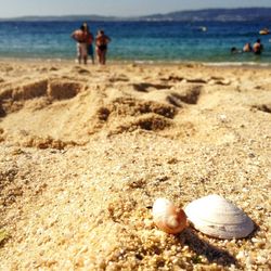 Scenic view of beach