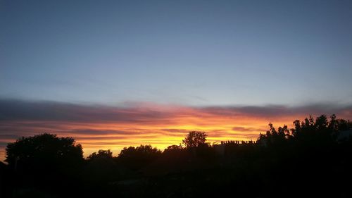 Silhouette of trees at sunset