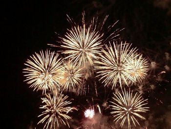 Low angle view of firework display at night