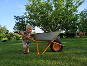 Little boy in a summer garden with a large wheelbarrow for cleaning mowed grass