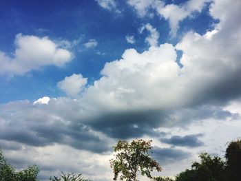 Low angle view of trees against sky